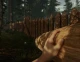 The Forest image
